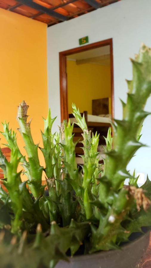 Pousada Pe De Serra Mucugê Dış mekan fotoğraf